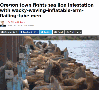 俄勒冈小镇岸边海狮成灾，这是他们想出来的驱赶方法！