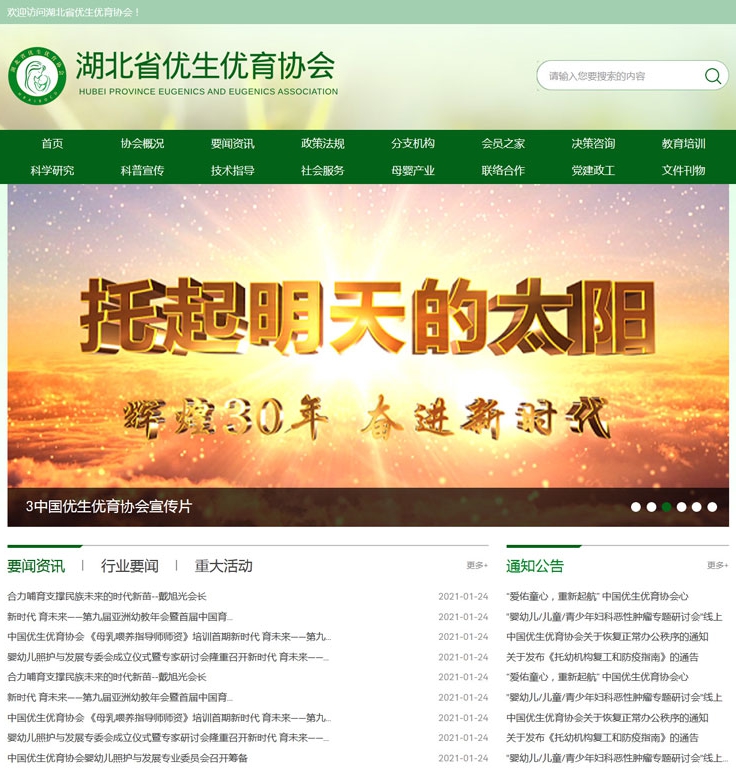 优生优育政府单位协会绿色html网站模板