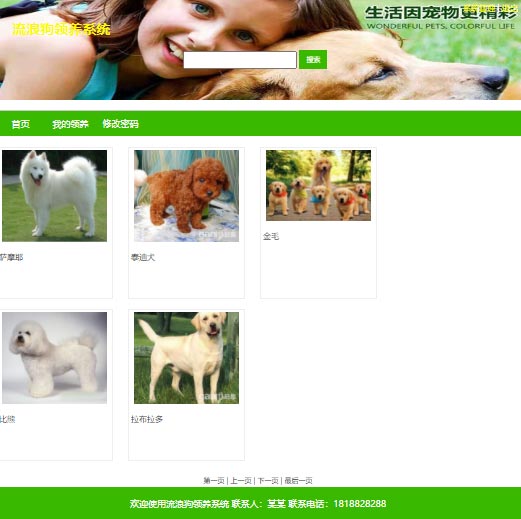 PHP绿色宠物领养网站系统源码