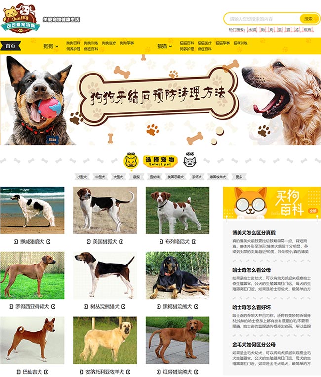 高仿《小可爱宠物网》黄色美观宠物知识资讯网站源码 带移动端同步插件（帝国cms7.5内核）