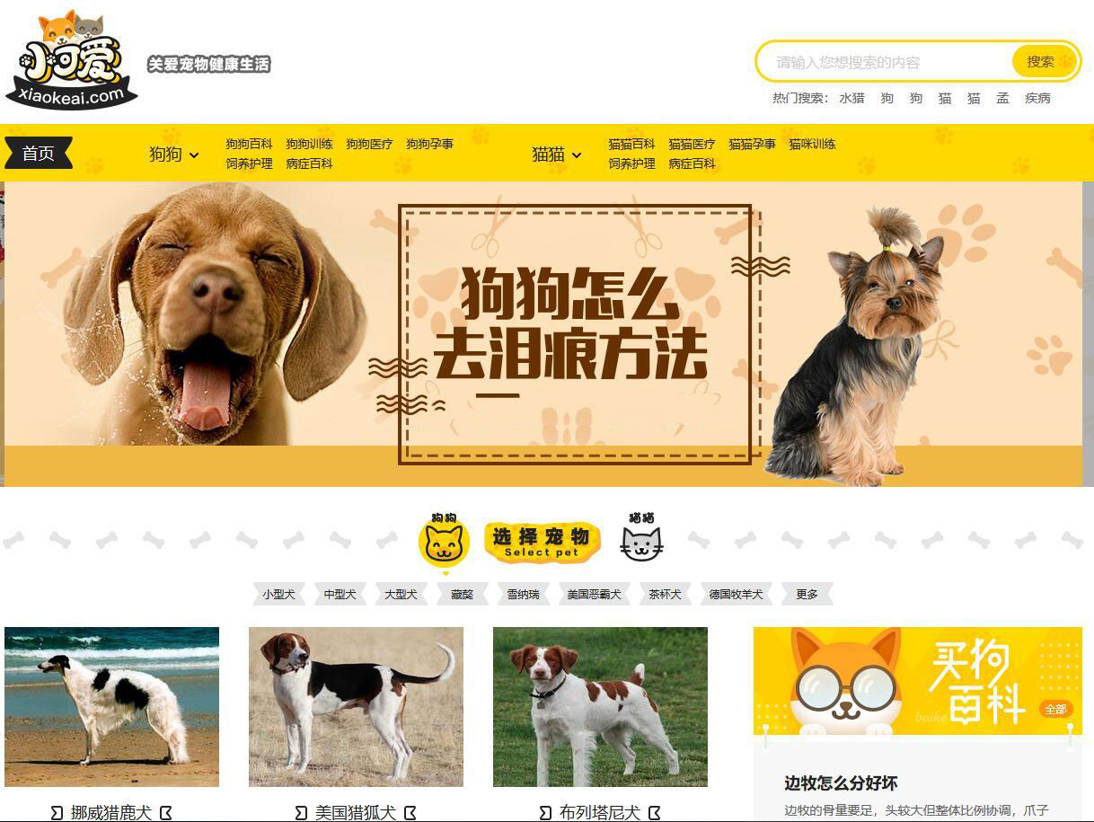 黄色简洁可爱风格宠物健康生活网整站源码（帝国cms内核）
